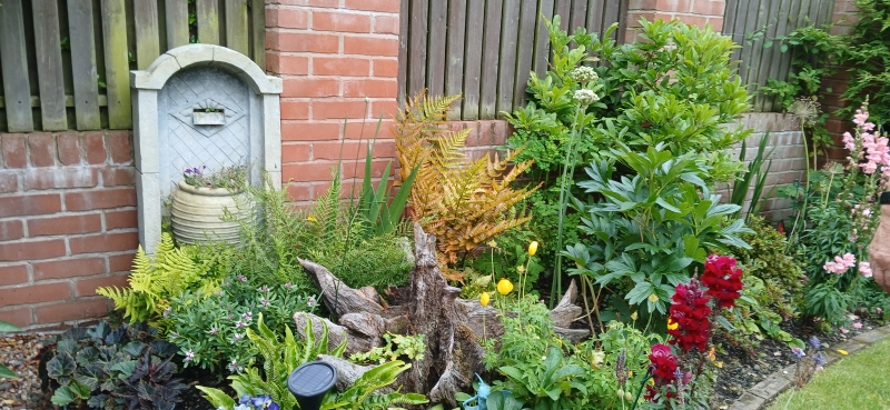 6 Redwood Close
